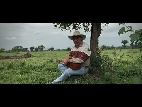 Amor de Abril - Henry Contreras