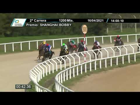 210416 c02 - CECI JITTERY - HIPODROMO LAS PIEDRAS