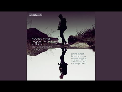 Clarinet Quintet in B Minor, Op. 115: I. Allegro