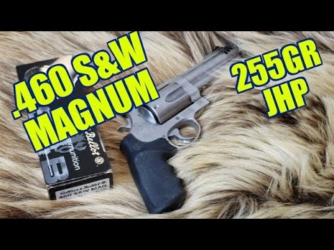 460 Smith and Wesson Sellier and Belliot 255gr JHP