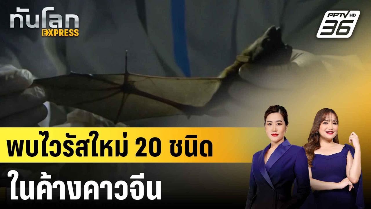 พบไวรัสใหม่ 20 ชนิดในค้างคาวจีน ใกล้เคียงชนิดอันตร