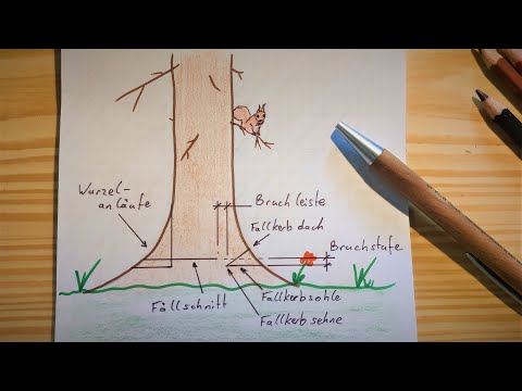 Attention: angled Fibers! - 🔥Forest🌲Skills🔥