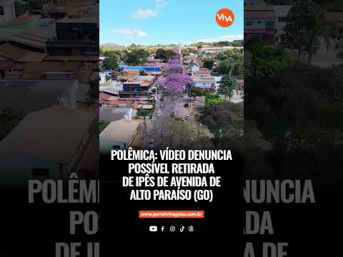 Proposta de retirar ipês do centro de Alto Paraíso gera reação e debate ambiental
