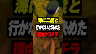 海に二度と行かないと決めたVtuber #shorts #BigWalk #クロノア #ゾム#アマル #vtuber