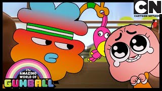 Darwin is a cowardly brother to Anais | The Quest | Gumball | Cartoon Network