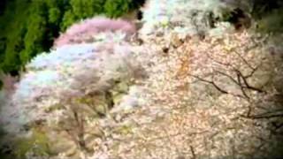 Zbigniew Preisner - Flute (Reprise)
