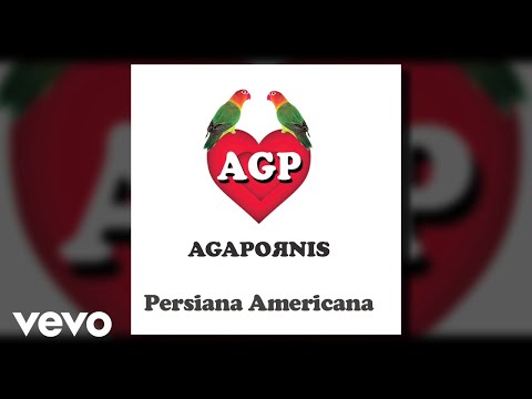 Persiana Americana - Agapornis