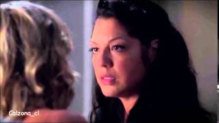 Callie y Arizona - Fire meets gasoline