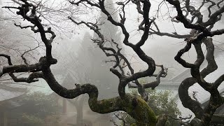 82 Negoroji Temple Song