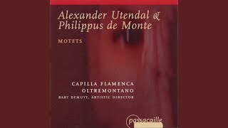 In principio erat Verbum