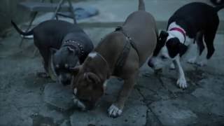 Zmoney - Pass by ( Prod. By Haz Futcha)