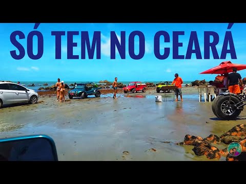 CONHEÇA AS CURIOSIDADES DE PONTA GROSSA, CHURRASCO DE LAGOSTA NA PRAIA 1045/20 Nois Pelo Mundo