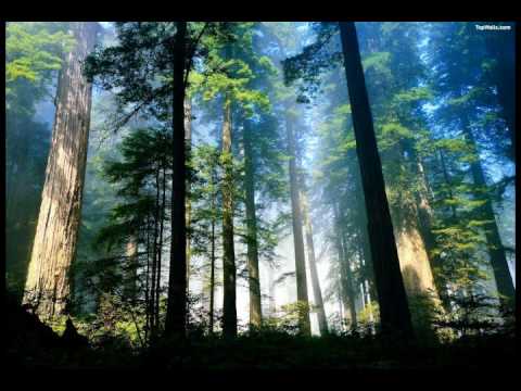 (黃慧音) Imee Ooi - Chant Of Metta (English Narration) Từ Kinh