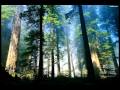 (黃慧音) Imee Ooi - Chant Of Metta (English Narration ...