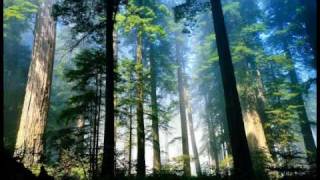 Download lagu (黃慧音) Imee Ooi - Chant Of Metta (English Narration) Từ Kinh mp3 Download lagu (黃慧音) Imee Ooi - Chant Of Metta (English Narration) Từ Kinh mp3