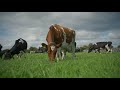 Henry Walsh 2015 Host IGA DST Soil Fertility And Reseeding