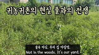 ENG] 포기하거나 맞서 싸우거나 / 풀과의 전쟁 / 귀농귀촌 일상 war against weeds