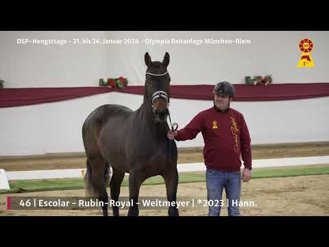 Lot 46 v. Escolar / Rubin-Royal