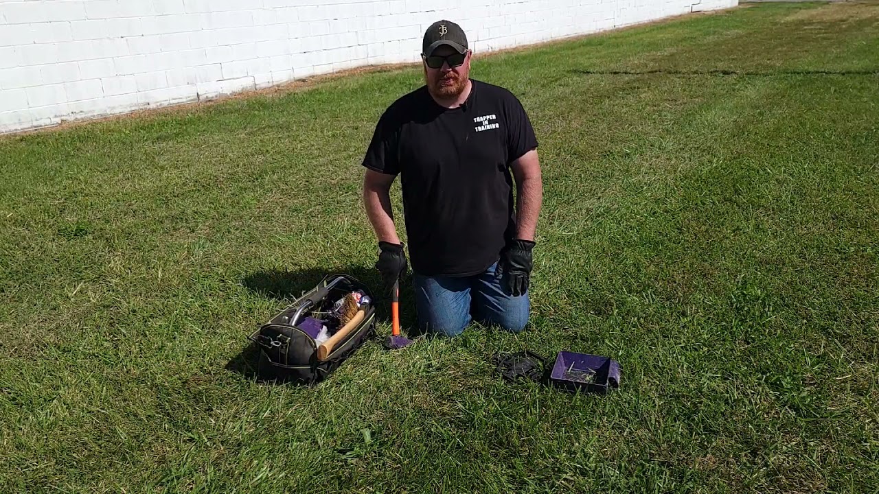 How to bed your traps correctly - beginner trapper series