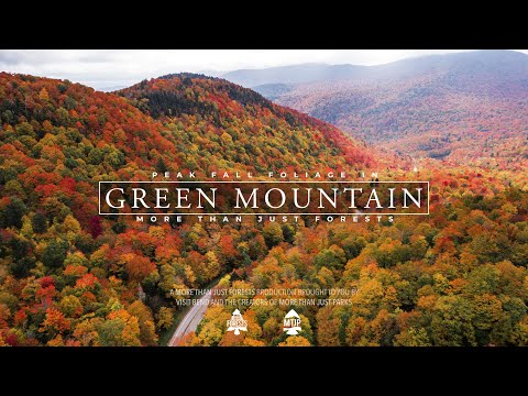 Watch 10MINS of (PEAK) Fall Foliage in Vermont's Green Mountain National Forest