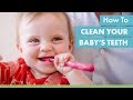 How to Clean Your Baby's Teeth