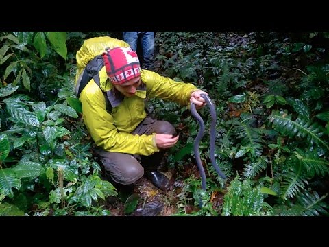 Hidden Corners: EAST ANDES ECUADOR- Official Film (HD)