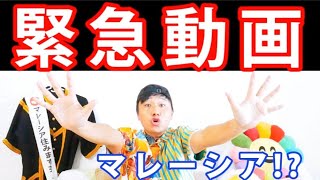 【報告】ヨシモトの海外在住若手芸人がYoutube始めた結果！！