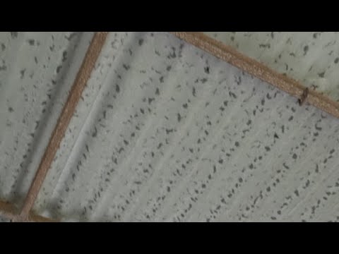 dep Merlo vs Lujan futbol femenino