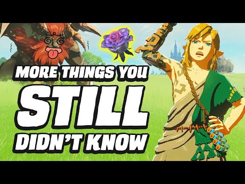27 MORE Things You STILL Didn't Know In Zelda Tears Of The Kingdom