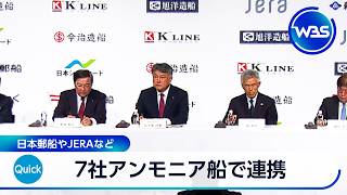 7社アンモニア船で連携 日本郵船やJERAなど【WBS】