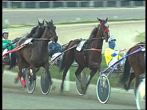 Trotto 26/01/2016 - 5° corsa