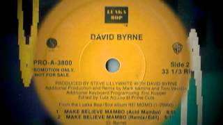 David Byrne -- Make Believe Mambo (Acid Mambo)