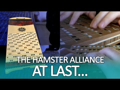 At Last... (Hamster Alliance)
