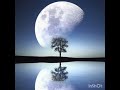 Max Richter - DREAM 3 (1hour)　meditation music/瞑想・入眠/リラックスミュージック