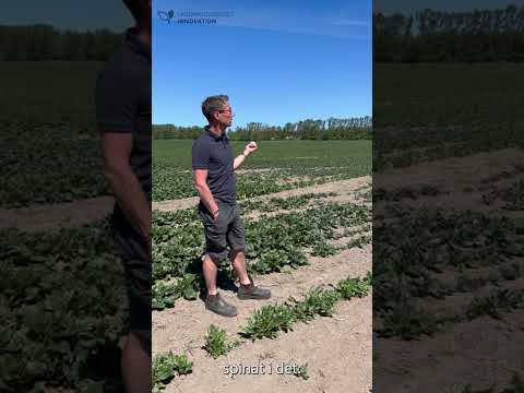 Ditlev Hasselbalch fortæller om afprøvningen.