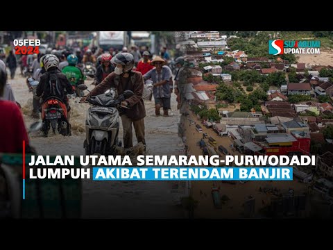 Jalan Utama Semarang-Purwodadi Lumpuh Akibat terendam Banjir