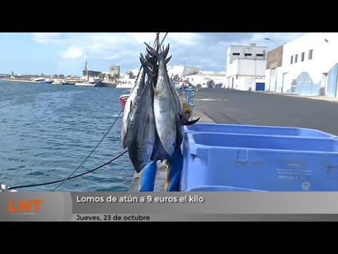 Lomos de atún a 9 euros el kilo en Naos