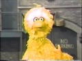 Sesame Street Elmo Borrows Radar From Big Bird
