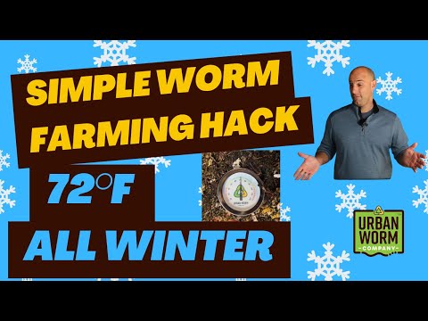 72°F in Cold Weather: My #1 Hack for Winter Worm Composting Success