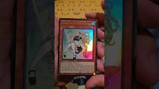 Dragons and Maids? Opening Yu-Gi-Oh TCG: Battles of Legends Gloria's Gallery Pack #yugiohtcg #tcg