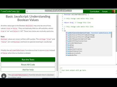 Basic Javascript Understanding Boolean Values Free Code Camp Dani