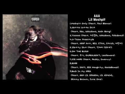 Lil Moshpit - AAA