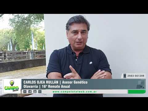 CARLOS OJEA RULLAN | Asesor Genético | Olavarría  16° Remate Anual