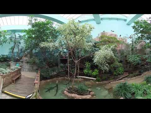 Milwaukee Zoo Aviary in 360° - Wild Winter Auction 2020