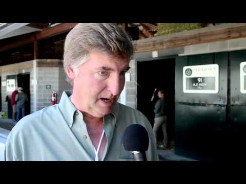 A.P. Indy's Last Yearling Crop