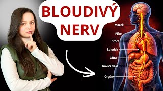 Download lagu Bloudivý nerv - HLAVNÍ NERV vašeho klidu, trávení, tlaku / Tahle 2 cvičení zachraňují! mp3