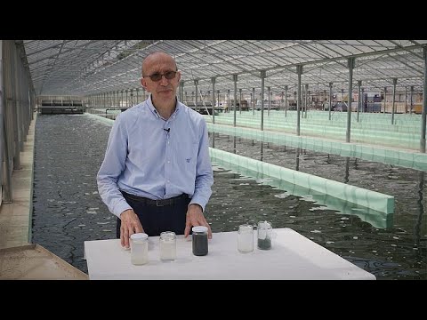 Abwasser - Verwandlung vom Kostenfaktor in einen Wertstoff