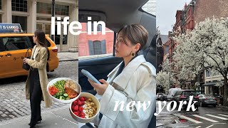 LIFE IN NYC | healthy recipes i’ve been eating, highs and lows, dog mom life