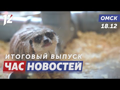 Голоса счастья из зоопарка / Космическая библиотека / Губернатор исполняет желания. Новости Омска