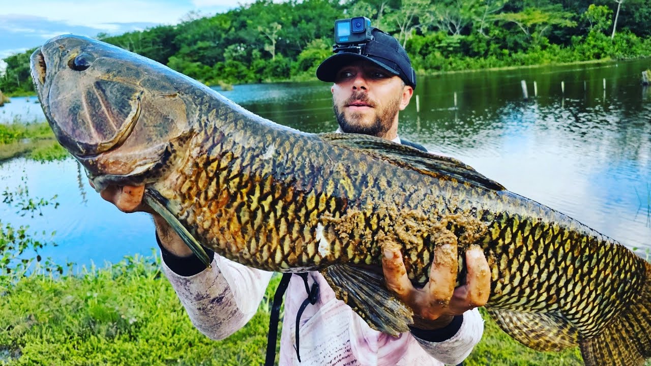 UM TRAIRÃO GIGANTESCO, E CARDUME DE TUCUNARE, DRENALINA FOI A MIL😰😰😰